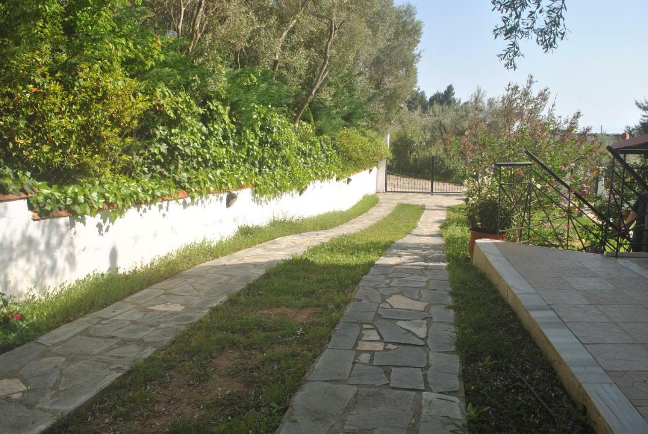 Studio Metamorfosi Exteriér fotografie